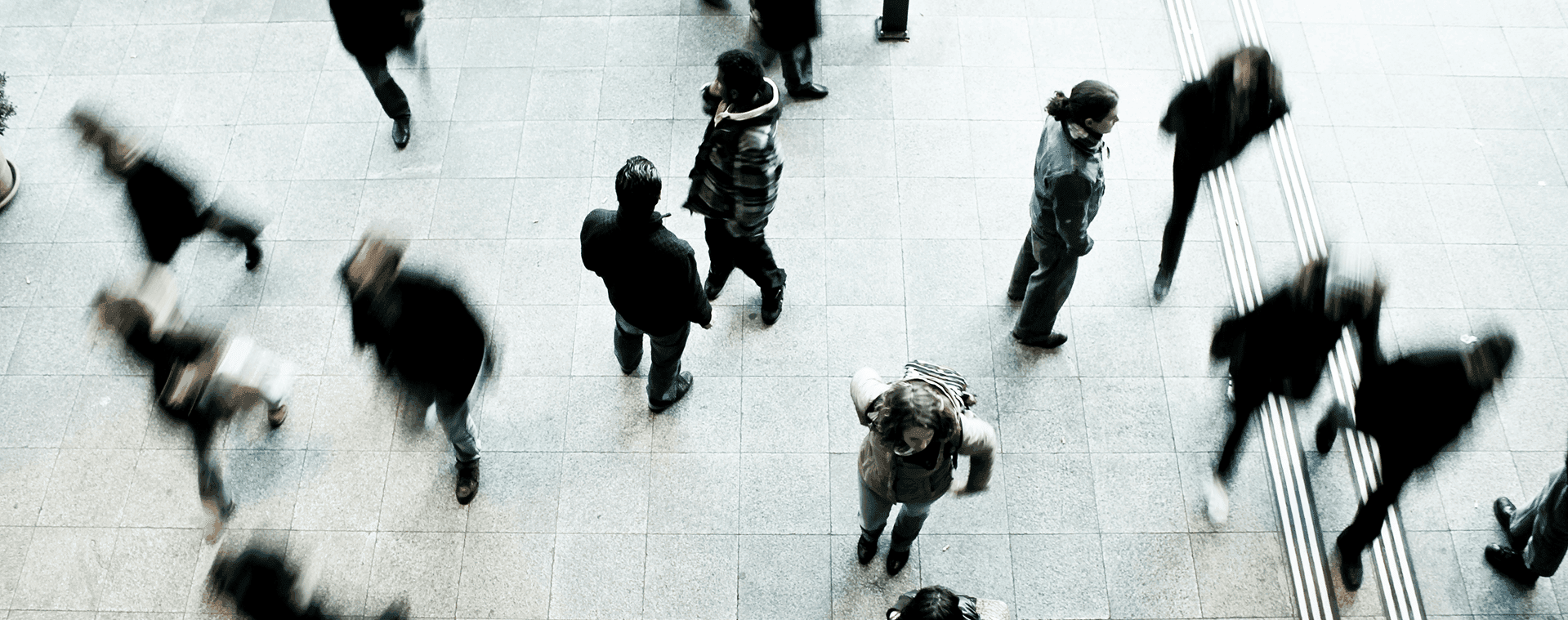 Our Ecosystem Banner